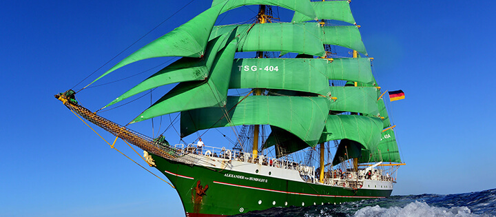 Alexander von Humboldt II