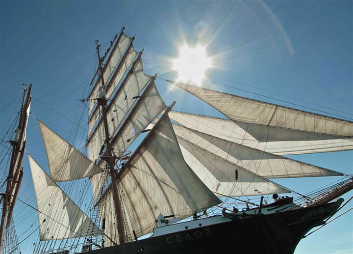 Sedov